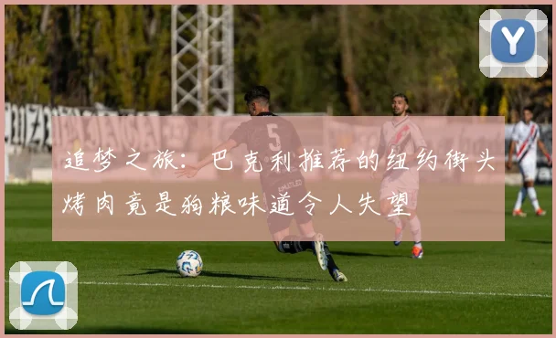 追梦之旅：巴克利推荐的纽约街头烤肉竟是狗粮味道令人失望